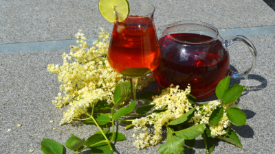 Hyldeblomst icetea på rooibos - kalorielet drik fra GastroUlven