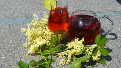 Hyldeblomst icetea på rooibos - kalorielet drik fra GastroUlven