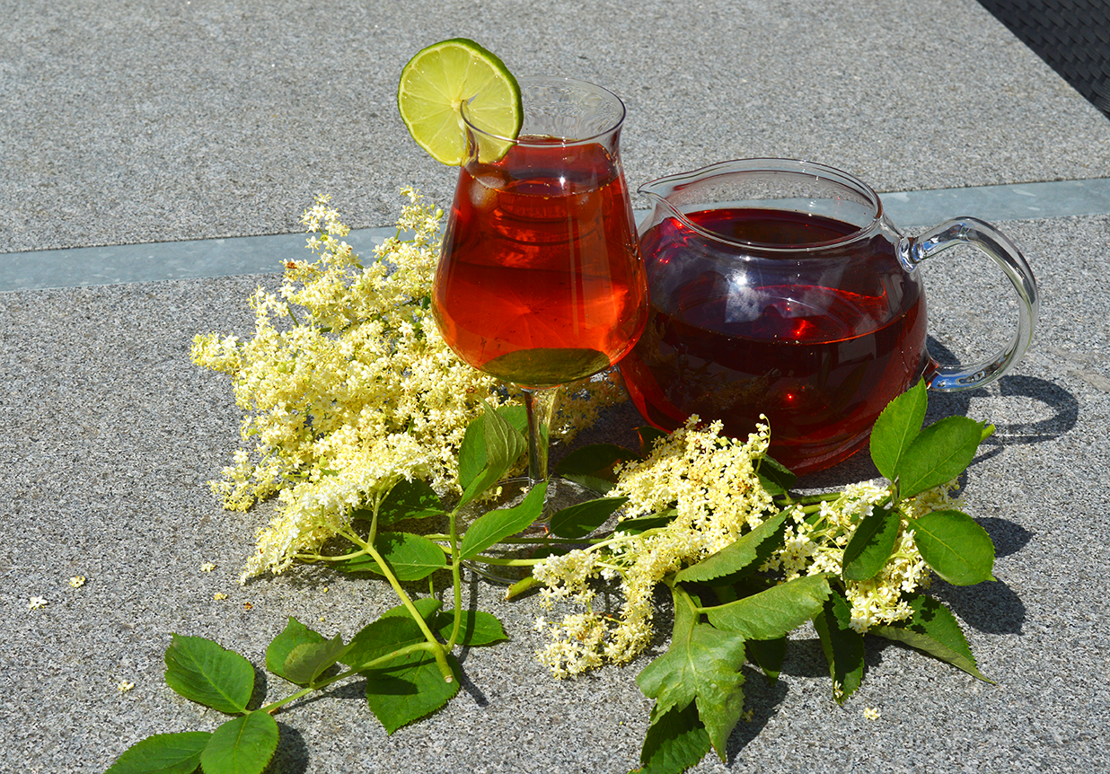 Hyldeblomst icetea på rooibos - kalorielet drik fra GastroUlven