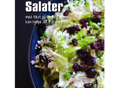 Salater - som hovedret eller tilbehør - forside